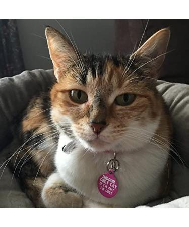 Cat Custom Pet ID Tag - Personalized, Indoor Cat Safety Tag with Contact Info - 'If I'm Out I'm Lost - Buy Online on GoSupps.com