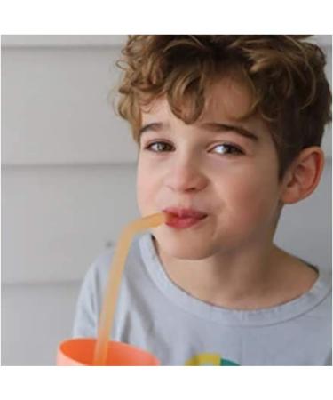 b.box Reusable Silicone Straw Travel Set x 2 - Buy Online on GoSupps.com