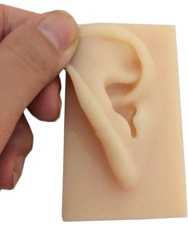 Human Ear Model Flexible Soft Silicone Imitation Real Ear Teaching Model -1 Pair Ear Mold Artificial Display Sample Educational Resources in Scienc - Buy Online on GoSupps.com