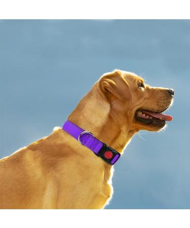 Taglory XL Soft Padded Neoprene Dog Collar for Extra Large Dogs - Adjustable Reflective Purple - Ideal for Training (1 Pack) - Buy Online on GoSupps.com