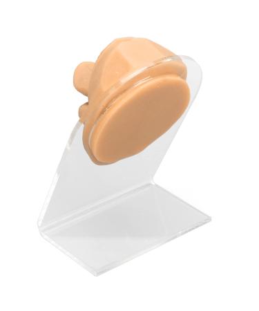 Realistic Tongue Model for Research | Lifelike Tongue Mouth Model with Acrylic Holder - Skin Color - Buy Online on GoSupps.com