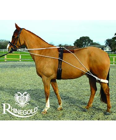 Rhinegold Training System with Roller-Cob