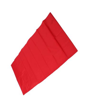 Buy Patient Slide Sheet - Breathable Nylon Transfer Aid for Hospitals & Home Care (140x68cm) - Buy Online on GoSupps.com
