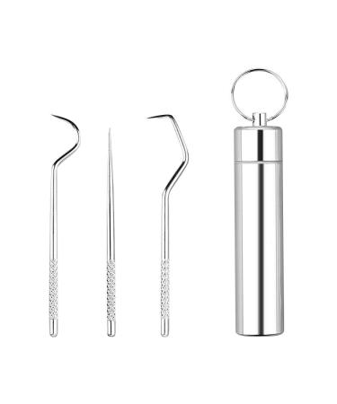 RVUEM 3 PCS/Set Stainless Steel Toothpicks Kit Premium Teeth Cleaning Tools Reusable Floss Tooth Picks Set Pocket Keychain Portable Metal Toothpicks Holder for Travel Outdoor