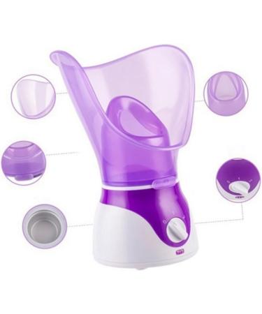 DOITOOL Steamer for Face Spa 2 in 1 Hair Steamer Cloth Steamers Facial Spa Steamer Moisturizing Mist Sprayer Cooking Steamer Facial Spray Mister Steamer for Facial The Face Purple - Buy Online on GoSupps.com