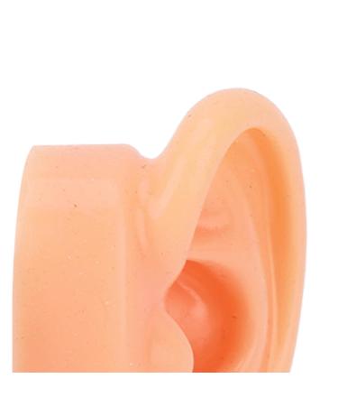 Soft Waterproof Ear Display Model | Simulated Model for Doctors & Centers - Buy Online on GoSupps.com