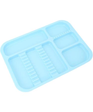 Buy Versatile Blue Plastic Shared Tray for Oral Instruments - Organized Storage & Easy Removal - Buy Online on GoSupps.com