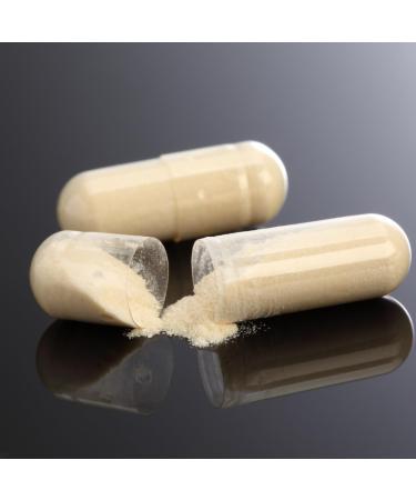 Medverita Choline 500 mg - Pure Choline Bicine Supplement - 60 Capsules for Optimal Health - Buy Online on GoSupps.com