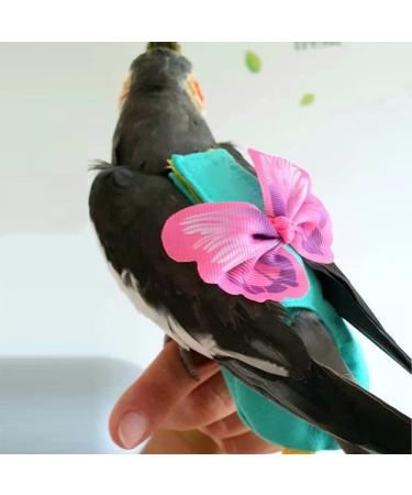 Hapihom parrot diapers with dishes leash airwear suit for small medium-sized birds parasites parrots nymphsiest flights.