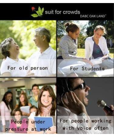 DABC OAK LAND American Ginseng Slices Wisconsin American Slices Root for Tea Energy for Men Women Mental Boosts Immunity (16OZ/Bag - Ginseng Root) - Buy Online on GoSupps.com