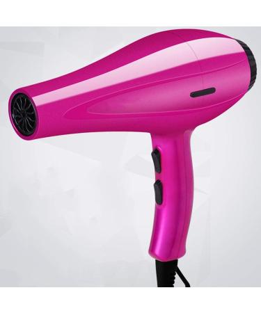 Hair Dryer 800W Pro Hair Dryer Ionic Blow Dryer DC Motor Fast Drying Hairdryer Protect Hair for with 2 Speed and 3 Heat Settings Overheating Protection Low Noise Home & Salon Purple small gift - Buy Online on GoSupps.com