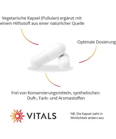 Buy Vitals Enzyme Formula Pro - 90 Vegan Capsules | 12 Active Enzymes for Optimal Digestion - International Shipping - Buy Online on GoSupps.com
