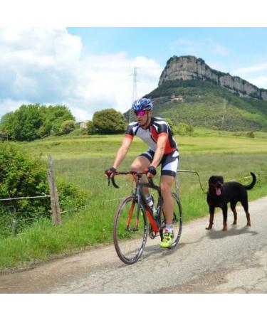 Itian Dog Bicycle Leash for Bicycle Hand Free Dog Leash Dog Exercise Training Leash A Walking Dog Leash - Buy Online on GoSupps.com