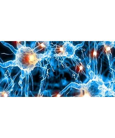 Kelebek Kese Turkish Hammam Bath Glove Skin Exfoliating Spa Keses Mitt (2 Pack) - Buy Online on GoSupps.com