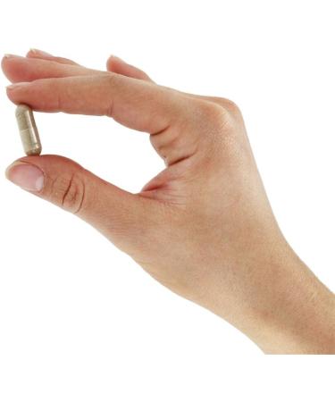 Bio Nutrition Inc White Mulberry Leaf Extract - 1000 mg - 60 Veg Capsules - Buy Online on GoSupps.com