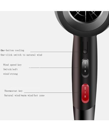 Hair Dryer Powerful Ladies Hair Dryer Lightweight Professional ion Hair Dryer Anti-frizz Compact 2300w Fast Drying - Buy Online on GoSupps.com
