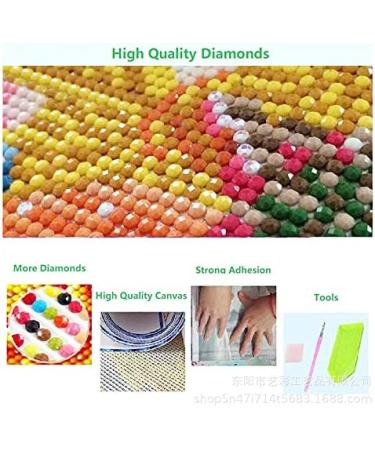 YXQSED DIY 5D Diamond Painting Kit - Sunset Full Drill Crystal Rhinestone Embroidery for Home Wall Decor - 11.8 x 15.7 inch - Buy Online on GoSupps.com