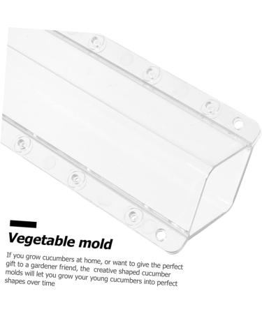 CIYODO 3pcs Cucumber Mold Cucumbers Fruit Growing Molds for Garden Cucumber Shaping Mold Square Vegetable - Buy Online on GoSupps.com