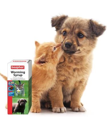 Beaphar - Worming Syrup - For Puppies & Kittens - Treats Roundworms - Ideal for Treating Litters - UK Authorised Veterinary Medicine - Pet-Friendly Chocolate-Flavoured Syrup - 45ml ( Pack of 1) - Buy Online on GoSupps.com