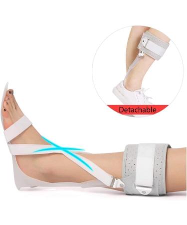 Adjustable Ankle Foot Orthosis for Drop Foot - Stabilizer Support for Dorsiflexion - Large Right Size - International Shipping Available - Buy Online on GoSupps.com