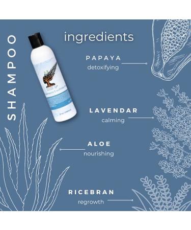 Recover Restore Gro Hydrating Shampoo - Sulfate Free Vegan Aloe Vera | Hair Growth for All Hair Types | 8oz - Buy Online on GoSupps.com