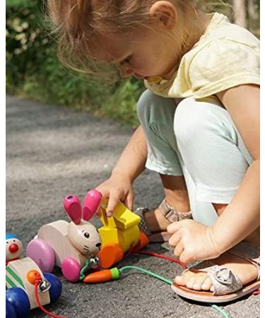 Buy Selecta 62023 Hanna Hoppel Pull-Along Rabbit Toy | Wooden Push & Pull Toy 13 cm - International Shipping Available - Buy Online on GoSupps.com