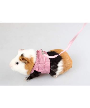 YJZQ Guinea Pigs Safety Harness Adjustable Stripe Pet Harness Vest Lead Rope for Rats Iguana Hamster Ferrets Small Animal Pet Training or Walking red - Buy Online on GoSupps.com