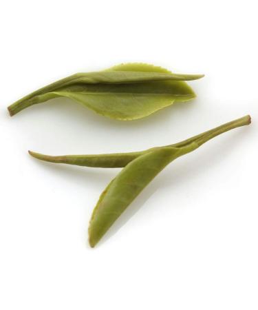 GOARTEA Th Vert - 50g (1.76 Oz) Supreme Huang Shan Mao Feng Yellow Mountain MaoFeng Spring Leaf Chinese GREEN TEA VERT - Buy Online on GoSupps.com