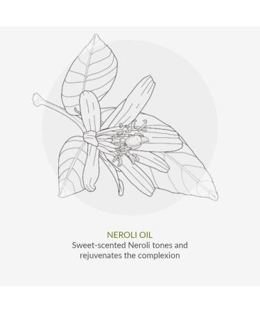 Age Defy+ Pure Luxe Body Oil 50ml | Natural & Organic Anti-Ageing Body Oil by Cha V htz | Radiance-Enhancing Oil for Mature Skin | Paraben Free & Ethyl Alcohol Free | Cruelty Free & Vegan - Buy Online on GoSupps.com