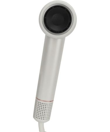 1600W Ionic Hair Dryer 110000RPM High Speed Negative Ion Hair Dryer for Home (US Plug 110V) - Buy Online on GoSupps.com