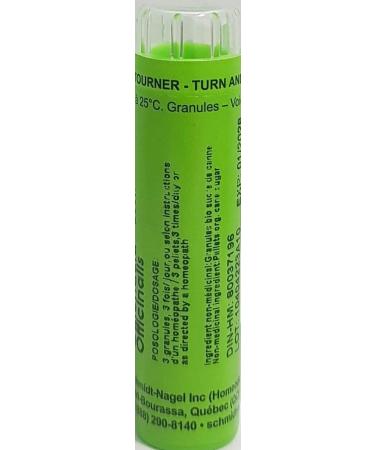 Calendula Officinalis 200K Homeopathy Medicine Schmidt-Nagel Canada (Homeodel) 90 pellets/granules - Buy Online on GoSupps.com