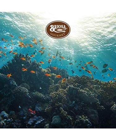 Codfish P t 4 tins x 75 g Briosa Gourmet/Portugal - Buy Online on GoSupps.com