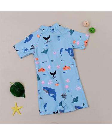 PythJooh Baby Boy Shark Print Rash Guard Swimsuit | Zipper One Piece Beach Swimwear | 12-18 Months - Buy Online on GoSupps.com
