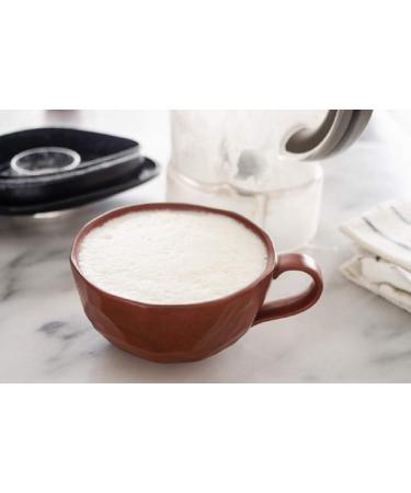 Buy Barista Italiano Skimmed Milk Powder - Low Fat No Added Sugar (500g) | International Shipping Available - Buy Online on GoSupps.com