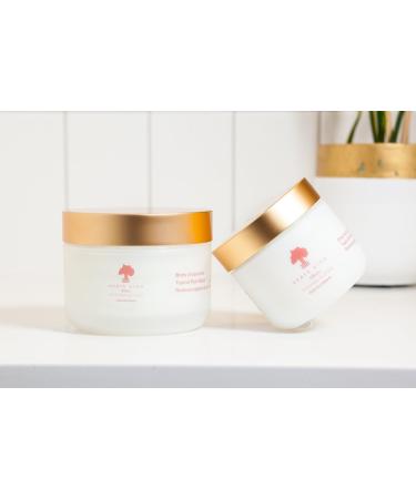 Whipped Shea Body Butter - Natural Moisturizer with Avocado & Baobab Oil | Paraben-Free & Cruelty-Free | Allure Blue Tansy Vanilla Wild Orange 4 oz - Buy Online on GoSupps.com