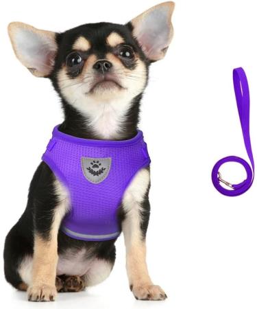 Femax Dog Harness & Linen Set - Soft Mesh Padded Reflective & Adjustable - Breathable Breasts for Walking Running & Training (30-34 cm Purple) - Ideal for Dogs Puppies & Cats | International Shipping Available - Buy Online on GoSupps.com