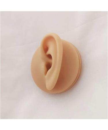 Silicone Ear Model - Simulation Human Ear Model - for Human Body Piercing Acupuncture and Moxibustion Ear Teaching Earrings Earrings Show Left - Buy Online on GoSupps.com