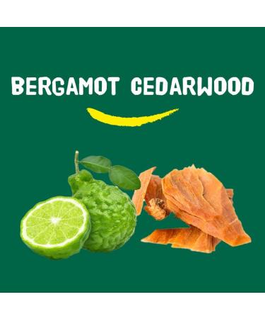 Happy Earth Shower Gel For Women and Men Shower gel 100 Natural Ingredients & Vegan Bergamot Cedarwood 300 ML - Buy Online on GoSupps.com