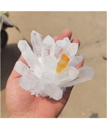 Crystal Rough Natural Crystal Rough Natural White Transparent Crystal Cluster Stone ore Specimen demagnetization Stone Purification Ment Stone decoratio (Size : 600-700g) - Buy Online on GoSupps.com