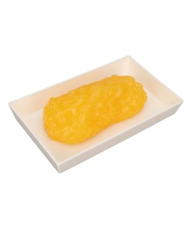 Authentic Human Body Fat Replica 1 Lb Human Fatty Tissue Motivation or Reminder Anatomical Science Model for Medical Students Nutritionists