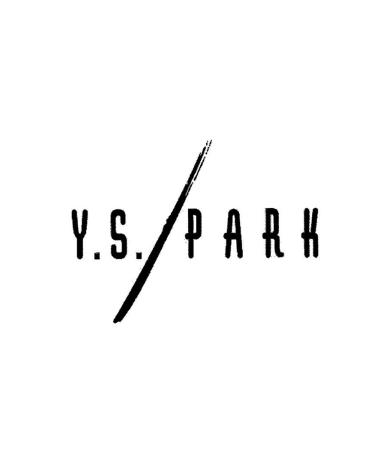 YS Park Large Diffuser- Black | Professional Hair Styling Tool - Buy Online on GoSupps.com