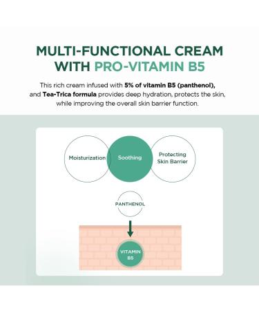 Buy SKIN1004 Madagascar Centella Tea-Trica B5 Cream 75ml | Best Soothing & Hydrating Cream - Fast International Shipping - Buy Online on GoSupps.com