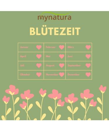 mynatura Colorful scattered fruit meadow scattered fruit meadow colorful mix grasses herbs fruit 3 x 200 g - Buy Online on GoSupps.com