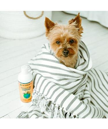 earthbath 2-in-1 Conditioning Shampoo for Pets 16oz (Pack of 2) - Made in USA, Mango Tango - Dog Shampoo and Conditioner for Conditioning & Detangling - Buy Online on GoSupps.com