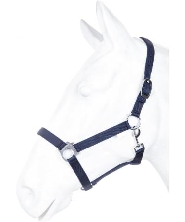 Buy RL24 Nylon Halter BASICLINE Dark Blue for Ponies - Durable & Stylish | Fast International Shipping - Buy Online on GoSupps.com