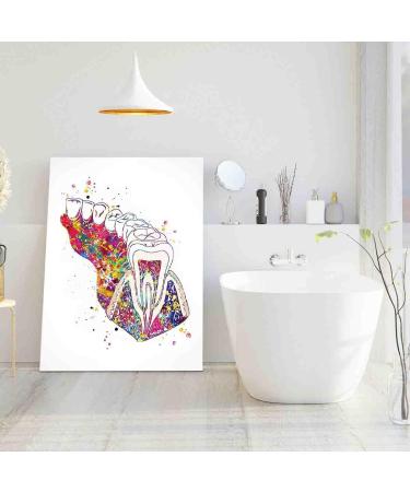 DAVUD Home Decor Bedroom Molar Tooth Section Diagram Watercolor Print Human Teeth Dental Office Clinic Decor Art Dentistry Dentist Gift Dental Hygienist- 16in x24 in-Ready to hang - Buy Online on GoSupps.com