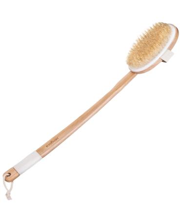Long Handle Bath Brush for Shower - 20 inch - Back Brush, Shower Brush, Detachable Natural Stiff Bristle Back Scrubber. Great Gift for Men & Women or Elderly (Regular Bristles)