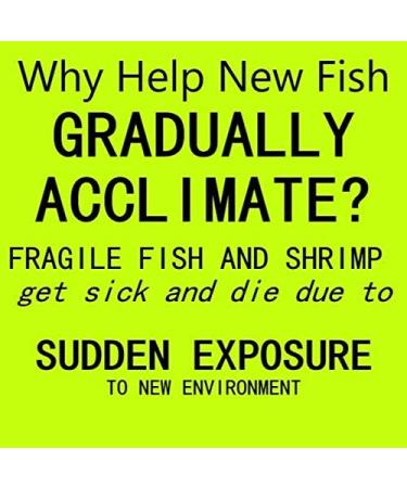 Premium Aquarium Water Conditioner & Clarifier for Fish Tanks | Drip Dispenser for Ich & Shrimp Treatment - Buy Online on GoSupps.com