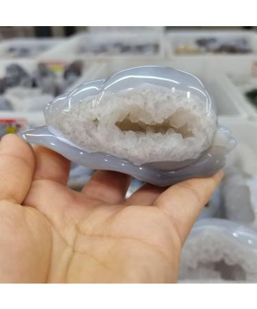 Room Decoration Home Decor Snail Natural Nao Amethyst Crystal Cluster Stone Specimen Home Crafts Decoration Gift Geode Gifts Natural Crystal Draw yuebang - Buy Online on GoSupps.com