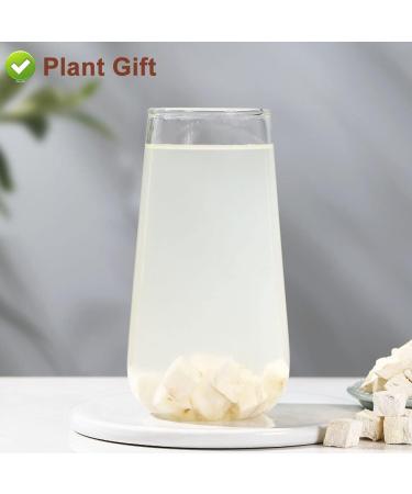 Flower 2 (100G-Radix Puerariae) - Buy Online on GoSupps.com